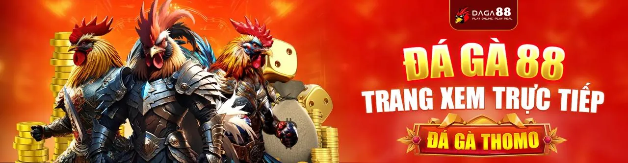 Sân vận động bóng đá với biểu tượng 88new win, minh họa cho hướng dẫn cá cược thể thao